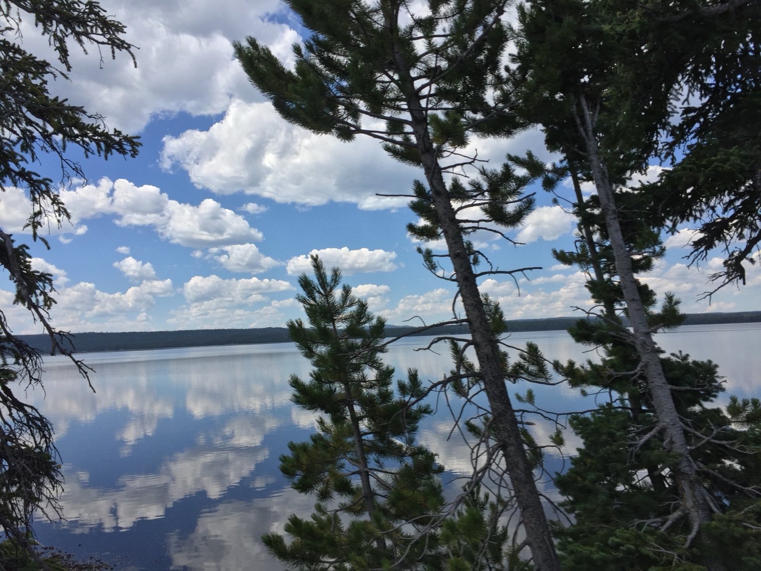Quiet lake reflecting clouds and trees.